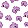 Hand drown orchid flowers seamless pattern. Repeating texture with violet flowers