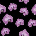 Hand drown orchid flowers seamless pattern. Repeating texture with violet flowers