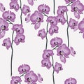 Hand drown orchid flowers seamless pattern. Wallpaper design.