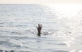 hand of drowned man Royalty Free Stock Photo