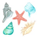 Hand drwan watercolor set of seashells and starfish. Illustration isolated on white background. Can be used for cards, label,