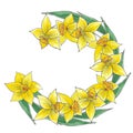 Hand drwan watercolor yellow daffodil wreath. Isolated on white background. Scrapbook, post card, banner, label