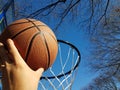 Hand dunking a basketball with hoop and trees