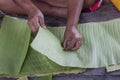 Hand of elderly woman sitting and tearing banana leaves to prepare for use as a container. Royalty Free Stock Photo