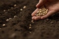 Expert farmer sowing seed on soil