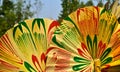 Hand-Fan Bamboo Made Colourful Object Photograph
