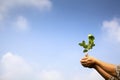 Hand of farmer holding young plant