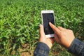 hand farmer with mobile phone