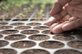 Hand of farmer planting seeds in soil in nursery tray Royalty Free Stock Photo