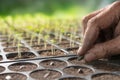 Hand of farmer planting seeds in soil in nursery tray Royalty Free Stock Photo