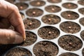 Hand of farmer planting seeds in soil in nursery tray Royalty Free Stock Photo