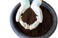 Hand of farmer with white glove holding fertilizer. Vermicompost on white background