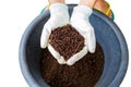 Hand of farmer with white glove holding fertilizer. Vermicompost and earthworms on white background