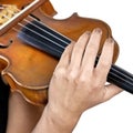 Hand of a female violinist on the fingerboard of a violin isolated on white Royalty Free Stock Photo