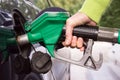 Hand filling the car tank with gasoline Royalty Free Stock Photo