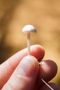 Hand fingers gentle holding tiny tender white mushroom on blurry background. Care for planet Earth nature, environment