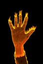 Hand of fire business man Royalty Free Stock Photo