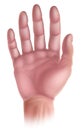 Hand Five Senses Human Body Part Icon Royalty Free Stock Photo