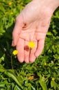 Hand with flower Royalty Free Stock Photo