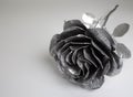 Hand forged rose. Rose handmade forged from metal on a white back Royalty Free Stock Photo