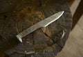 Hand Forged Steel Knife on Anvil