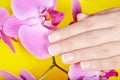 Hand with french manicured nails and orchid flowers Royalty Free Stock Photo