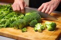 hand fresh broccoli on a chopping board for soup
