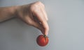 Hand with fresh red cherry tomato Royalty Free Stock Photo
