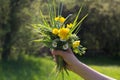 Hand full of plant biodiversity, local flora, life from nature Royalty Free Stock Photo