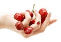 Hand full of red cherries Royalty Free Stock Photo