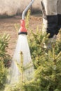 Hand garden hose with a water sprayer, watering the coniferous plants in the nursery Royalty Free Stock Photo