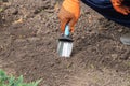 Hand garden shovel in the soil. A gardener in gloves prepares the soil for seedlings with hand garden shovel. Close-up Royalty Free Stock Photo