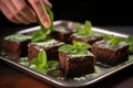 hand garnishing brownies with fresh mint leaves