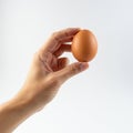 Hand holding brown egg isolated on white background. use cases: cooking, baking Royalty Free Stock Photo