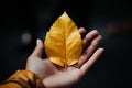 Hand gently holds a golden leaf, a symbol of autumn\'s fleeting beauty