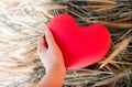 Hand gently raise up red heart from grass flower for love and careness concept background Royalty Free Stock Photo