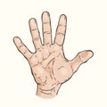 Hand gesture Five fingers Royalty Free Stock Photo