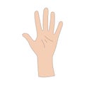 A hand gesture. The number five. Sign language. Vector illustration isolated on white Royalty Free Stock Photo