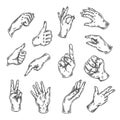 Hand gesture sketch. Vector illustration isolated on white Arm sketched. Thumb up, victory, peace doodle line set