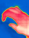 Hand gestures captured on thermal imager device
