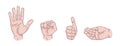 Hand gestures set isolated. Palm, fist, thumb up, cupped hand. Modern beautiful style. Realistic. Flat style vector illustration.