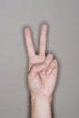 Hand Gesturing Peace Sign