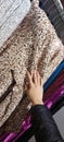 hand of a girl choosing a trendy blouse in the casual clothes store of the mall Royalty Free Stock Photo