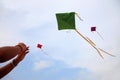 Hand of a girl raises a kite in a sky