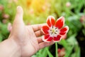 Hand of a girl touch flower