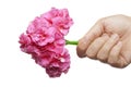 Hand gives a bouquet of flowers in heart shape Royalty Free Stock Photo