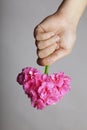 Hand gives a bouquet of flowers in heart shape Royalty Free Stock Photo