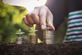 Hand giving a coin to a tree growing from pile In coin Money. Financial accounting, Investment Concept Royalty Free Stock Photo