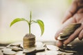 Hand giving a coin to a tree growing from pile of coins.Financial accounting, Investment Concept Royalty Free Stock Photo