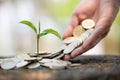 Hand giving a coin to a tree growing from pile of coins.Financial accounting, Investment Concept Royalty Free Stock Photo